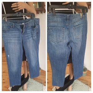 Lauren Conrad Size 8. Bootcut Jeans.